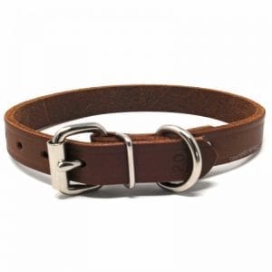 3/4 Inch Leather Collar