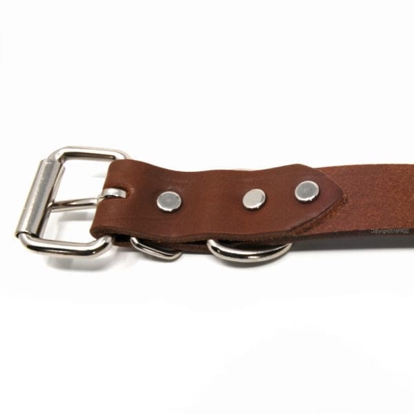 1 Inch Leather Collar