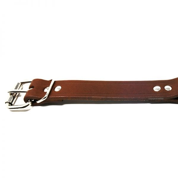 1 Inch Leather Center Ring Collar