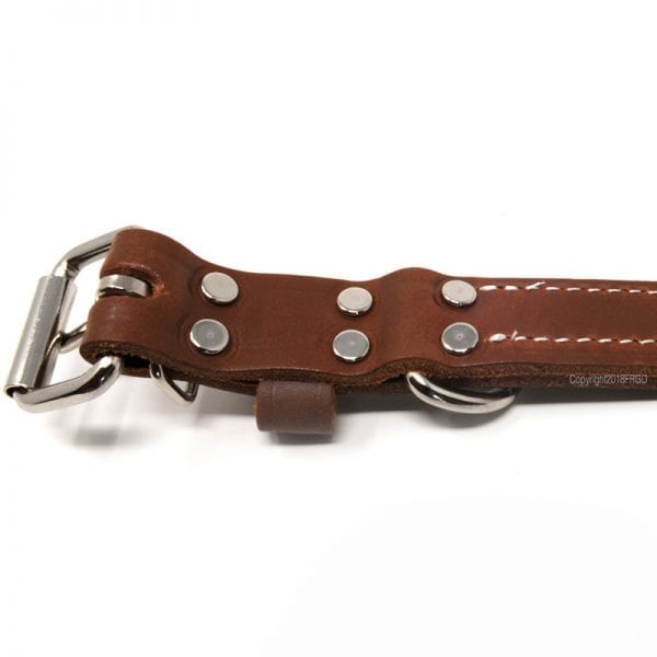 1 Inch Deluxe Leather Collar