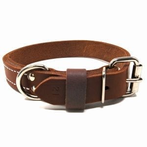 1 Inch Deluxe Leather Collar