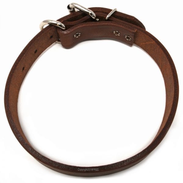 1 Inch Leather D-End Collar