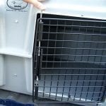 easy-loader-dog-kennels_4264-revised