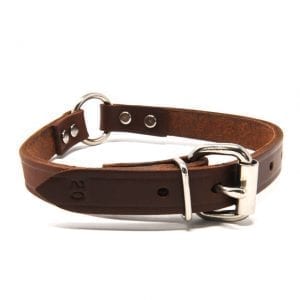 3/4 Inch Leather Center Ring Collar