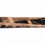1 Inch Mossy Oak Blades Camo Collar