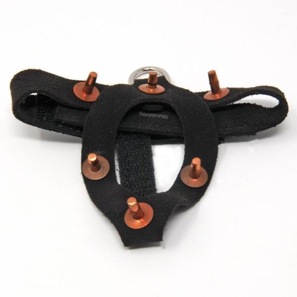 Quail Harness