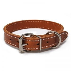 1 Inch 2 Ply Leather Collar