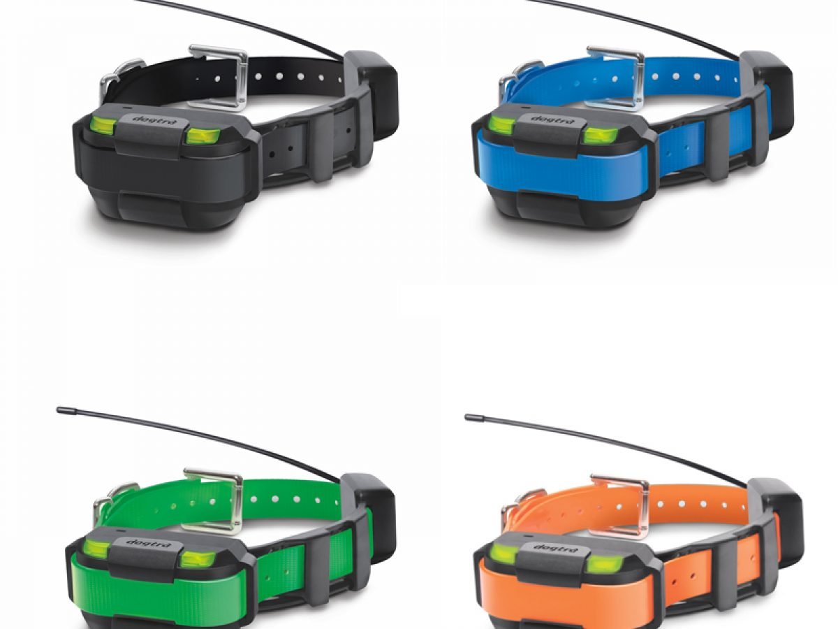 dogtra pathfinder mini collar