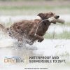 SportDog In-Ground Fence System SDF-100C