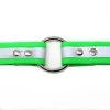 1 Inch Beta Reflective Collar RIC Green