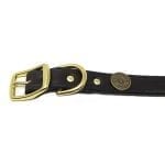 Shot Shell 1 Inch Collar
