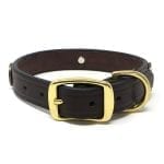 Shot Shell 1 Inch Collar