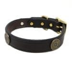 Shot Shell 1 Inch Collar