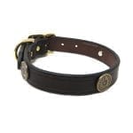 Shot Shell 1 Inch Collar