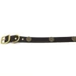 Shot Shell 1 Inch Collar