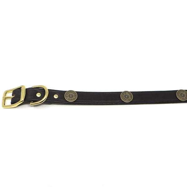Shot Shell 1 Inch Collar
