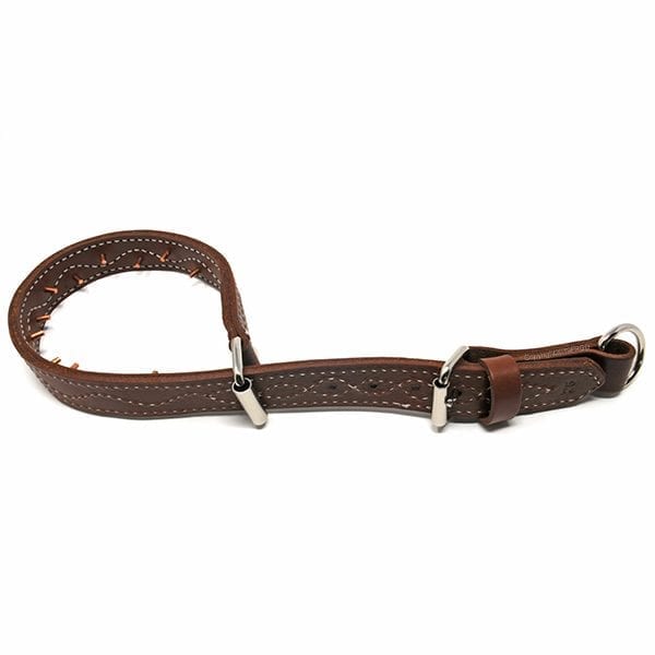 Leather Pinch Collar - Steady to Flush Training - Front Range Gun Dog