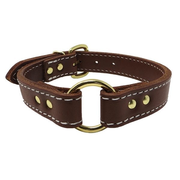 1 Inch 2 Ply Leather Center Ring Collar Brass
