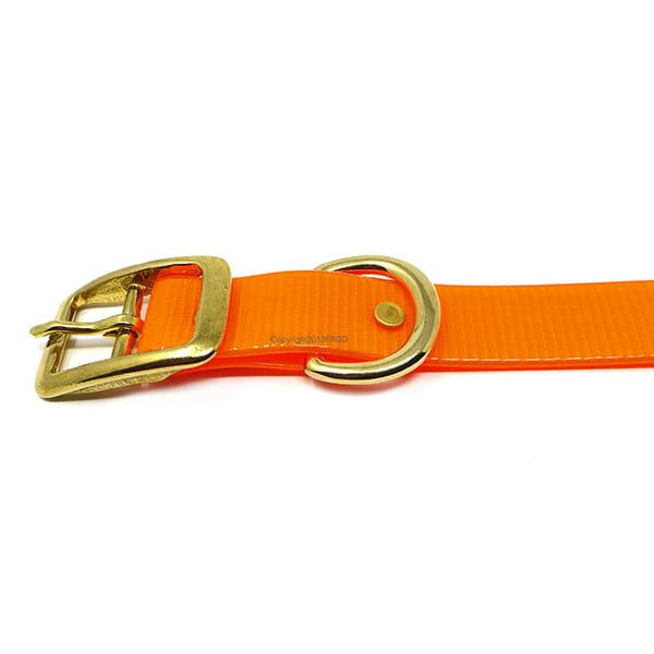 Orange buckle 600