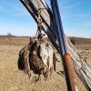 Quail Leather Game Tote