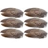 Pheasant Wings 6 Pack
