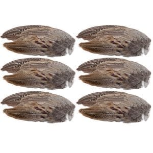 Pheasant Wings 6 Pack