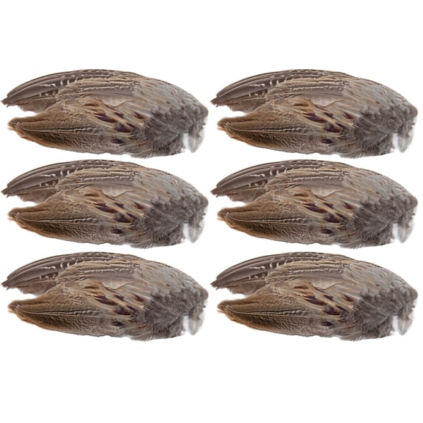 Pheasant Wings 6 Pack