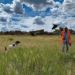 Gun Dog Supplies