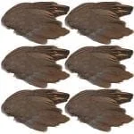 Chukar Wings 6 Pack
