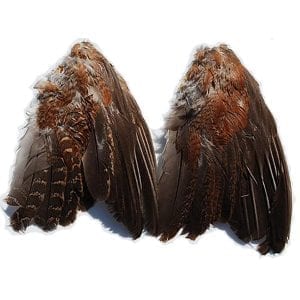 Quail Wings 2 Pack