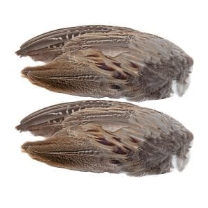 Pheasant Wings 2 Pack