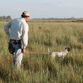 Gun Dog Supplies