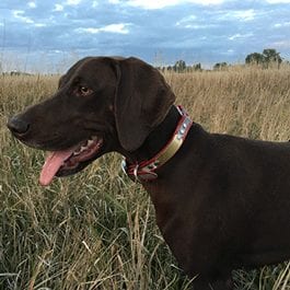 Kangaroo Leather Double Lanyard  Chocolate-Tan - Front Range Gun Dog