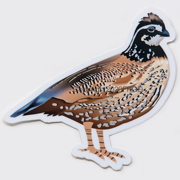 Bobwhite Quail Sticker