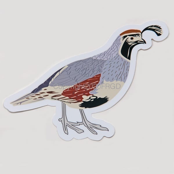 Gambel's Quail Sticker