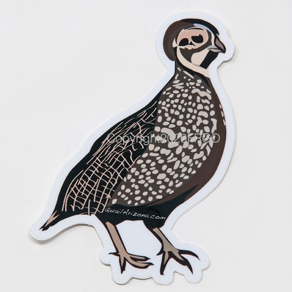 Mearns Quail Sticker