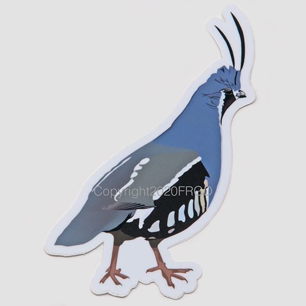 Mountain Quail Sticker