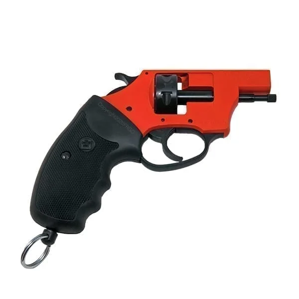 Charter Arms Pro 22 Double Action Primer Pistol