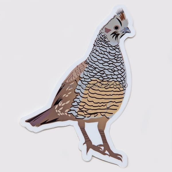 Scaled Quail Sticker