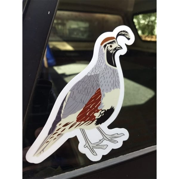 Gambel's Quail Sticker