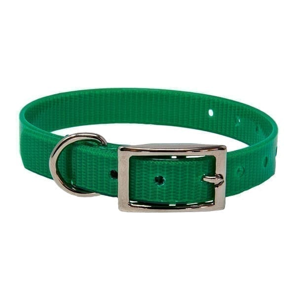 Green Puppy Collar