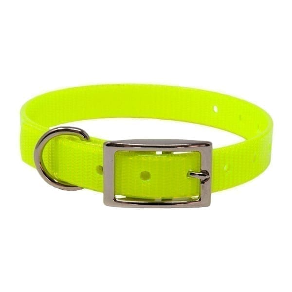 Puppy Collar