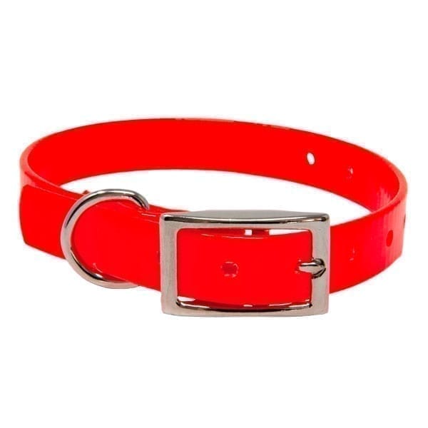 Puppy Collar