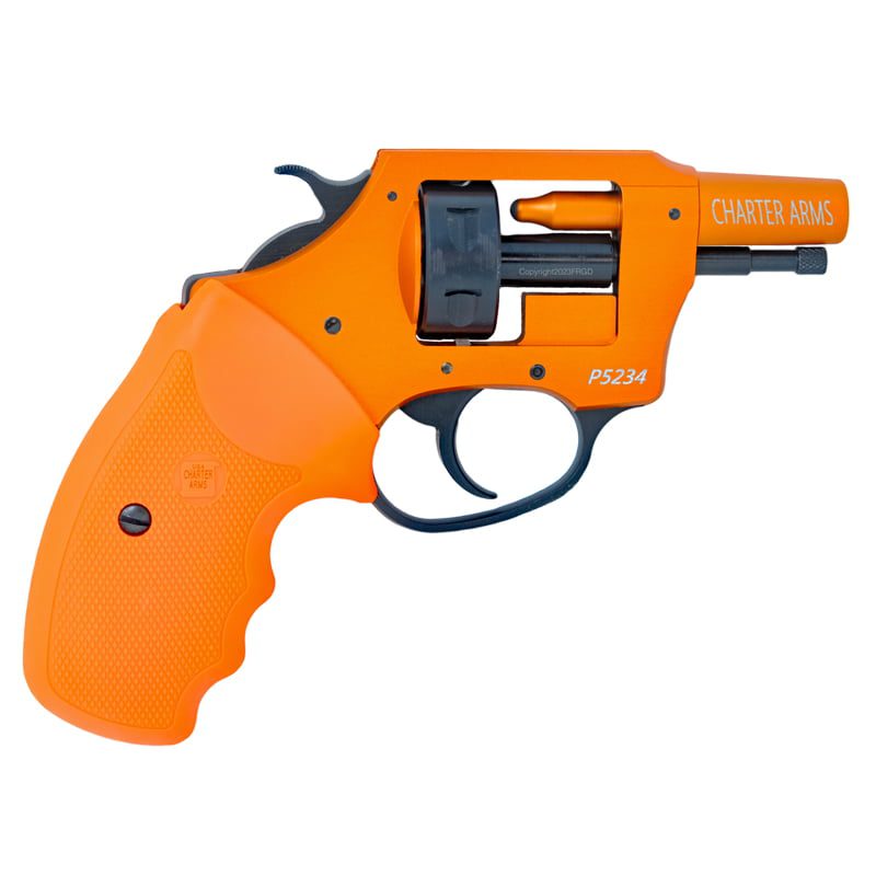 Charter Arms Pro 209 Double Action Primer Pistol Front Range Gun Dog