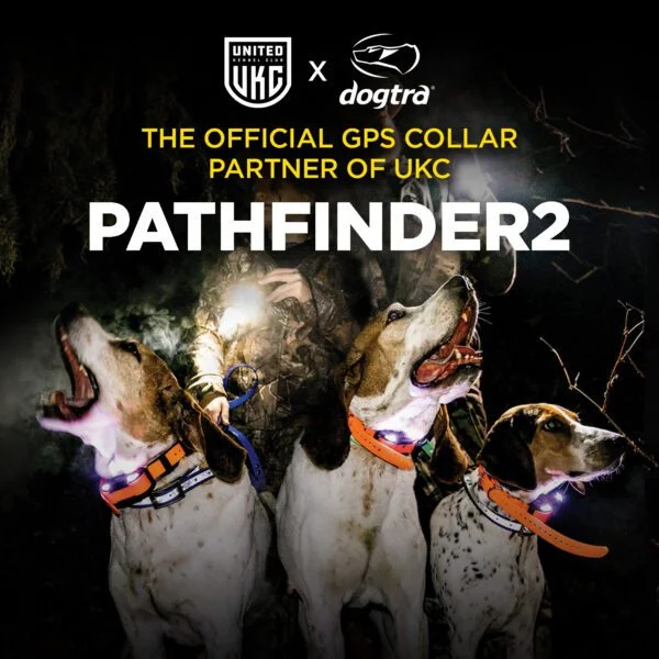Dogtra sales pathfinder prix