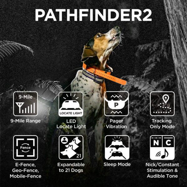 Dogtra Pathfinder 2