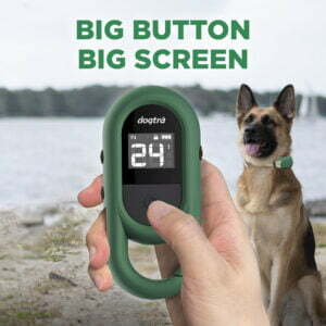 Dogtra CUE