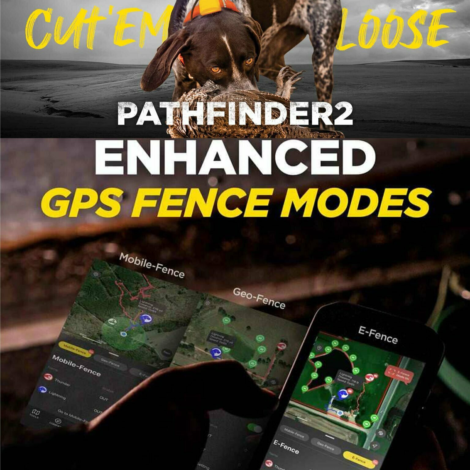 Gun Dog Supplies for the Hunter and Trainer