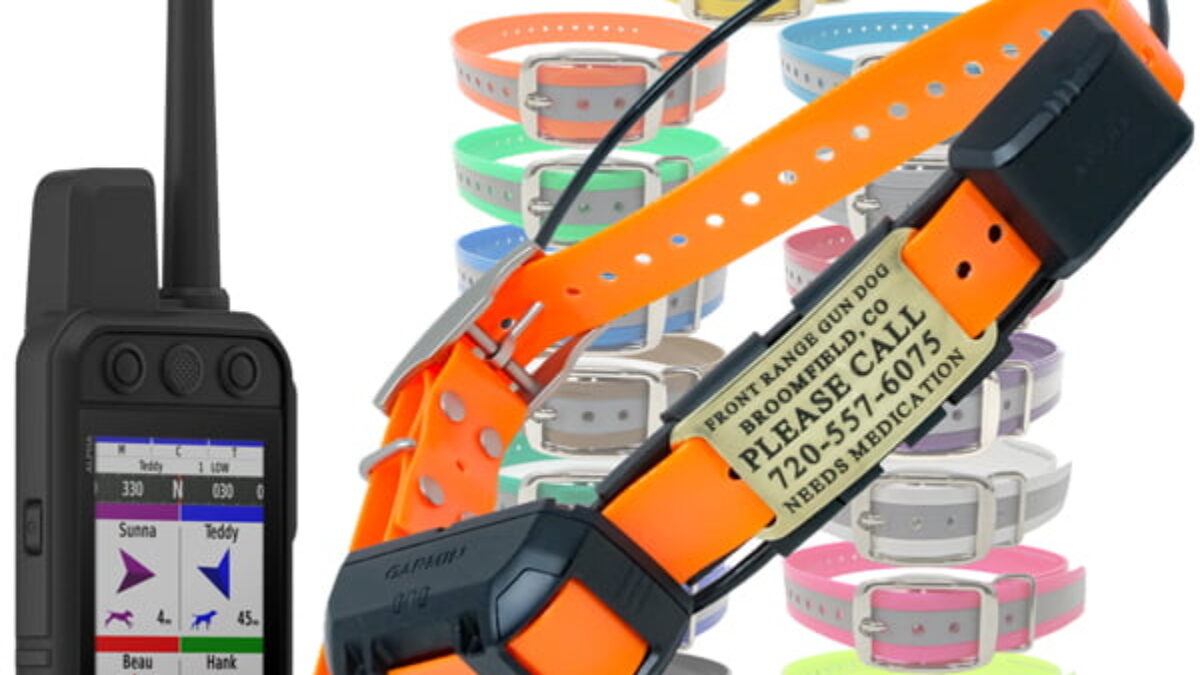 Alpha garmin tracking system sale