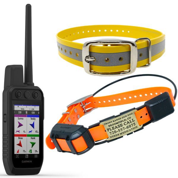 Garmin Alpha 300 TT 25 Bundle - Front Range Gun Dog